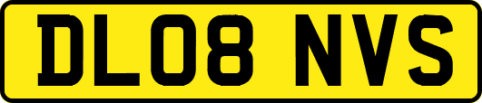 DL08NVS