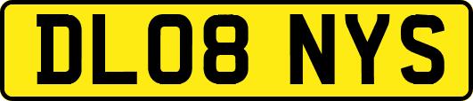 DL08NYS