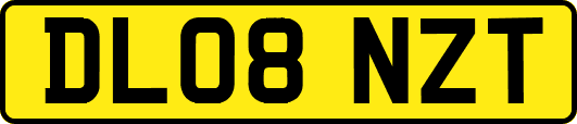 DL08NZT