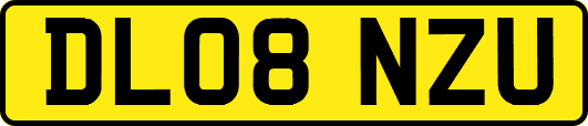 DL08NZU