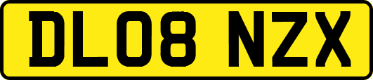 DL08NZX