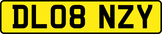 DL08NZY