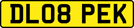 DL08PEK