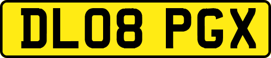 DL08PGX