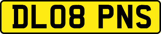 DL08PNS