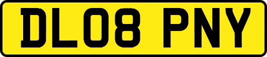 DL08PNY