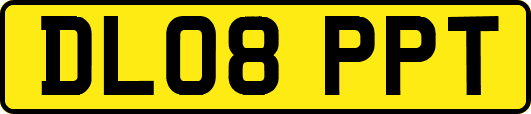 DL08PPT