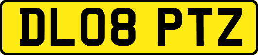 DL08PTZ