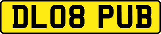 DL08PUB