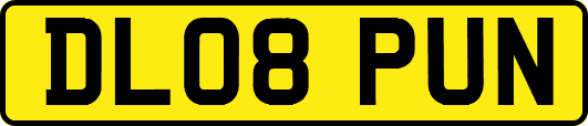 DL08PUN