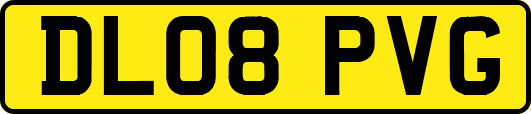 DL08PVG
