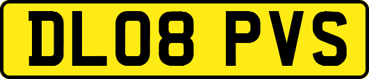 DL08PVS