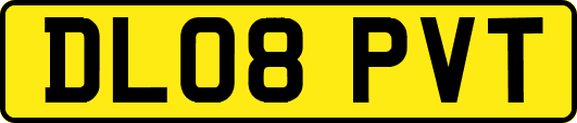DL08PVT