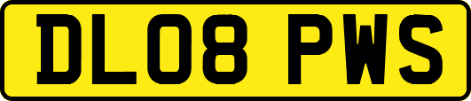 DL08PWS