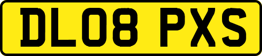 DL08PXS