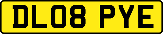 DL08PYE