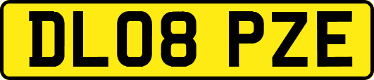 DL08PZE