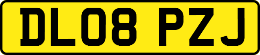 DL08PZJ