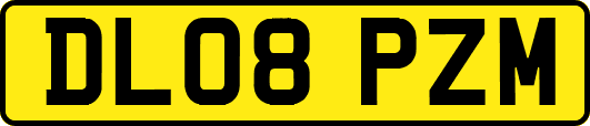 DL08PZM