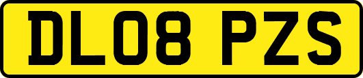 DL08PZS