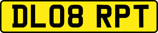 DL08RPT