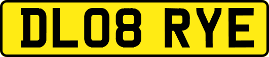 DL08RYE