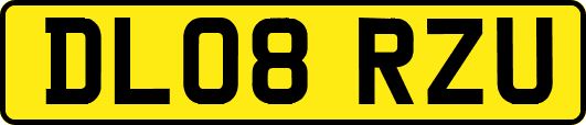 DL08RZU