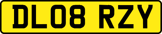 DL08RZY