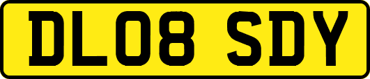 DL08SDY