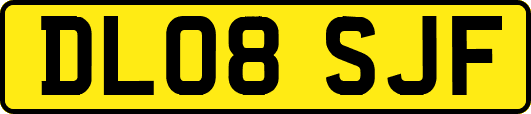 DL08SJF