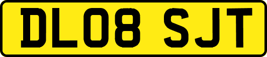 DL08SJT