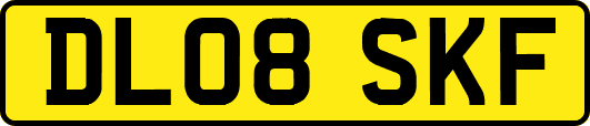 DL08SKF