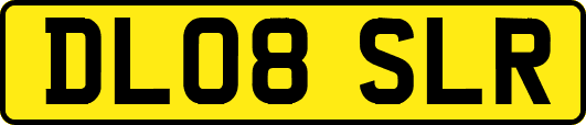 DL08SLR