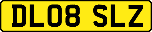DL08SLZ