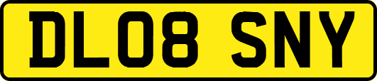 DL08SNY