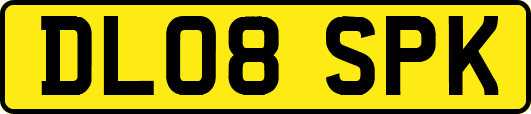 DL08SPK