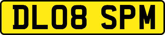 DL08SPM