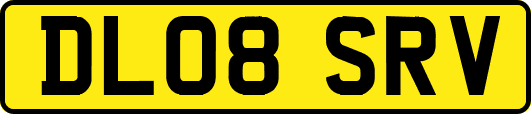 DL08SRV