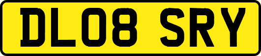 DL08SRY