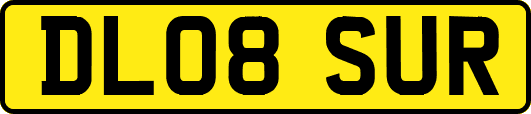 DL08SUR