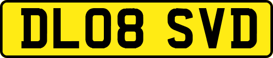 DL08SVD