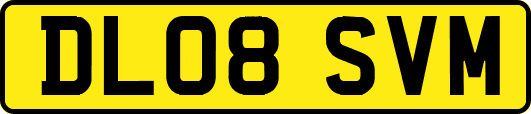 DL08SVM