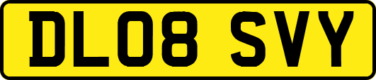 DL08SVY
