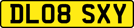 DL08SXY