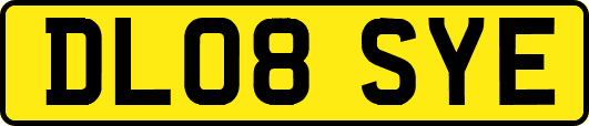 DL08SYE