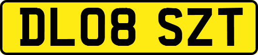 DL08SZT