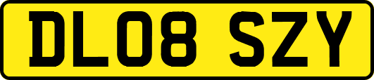 DL08SZY