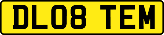 DL08TEM