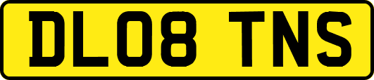 DL08TNS
