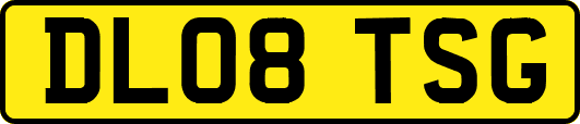 DL08TSG
